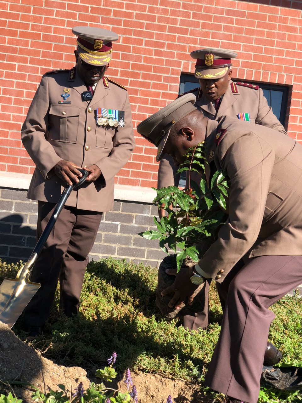 Planting a tree by sandf surgeon general